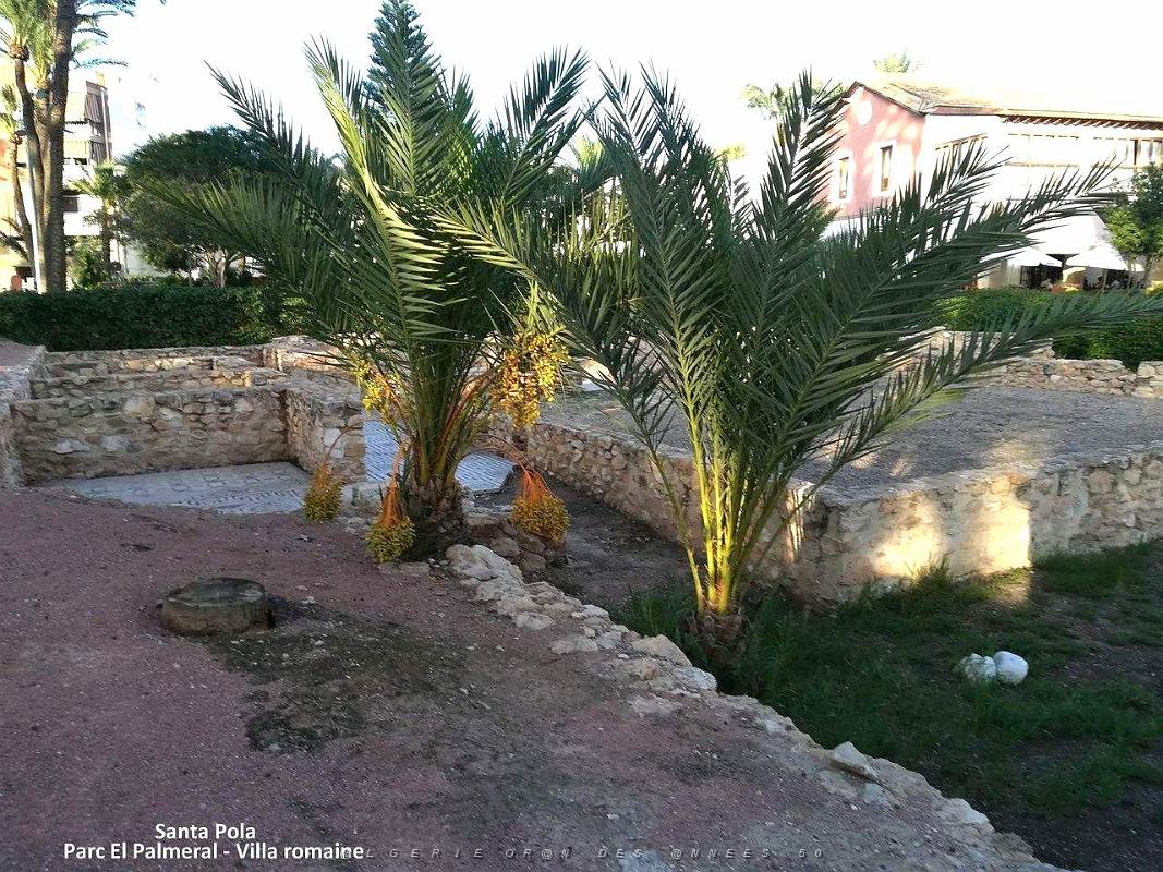 41 SANTA POLA ANTIQUE MUSEE (85).jpg